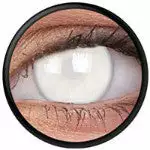 Couleurvue Colorvue Fou Store Blanc