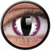 Couleurvue Oeil De Dragon Violet Fou Colorvue