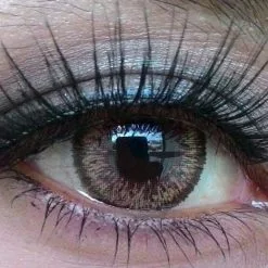 EOS Cats Eyes Marron -Promos Anime Boutique eos cats eyes brown d