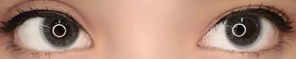 EOS Fluffy Grey 2 EOS Fluffy Grey – Image 2