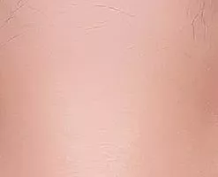 Roue Chromatique Folle De Barbie -Promos Anime Boutique f100 b