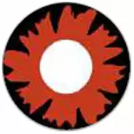 Cherie Sweety Crazy Junon