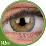 Couleurvue Colorvue Enthousiaste Vert Frais