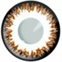 Cherie Sweety Crazy Hôte