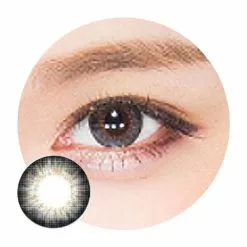 I-Codi Chou Crème Gris