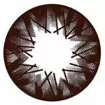 I-Codi Eclipse IC1 15 Marron