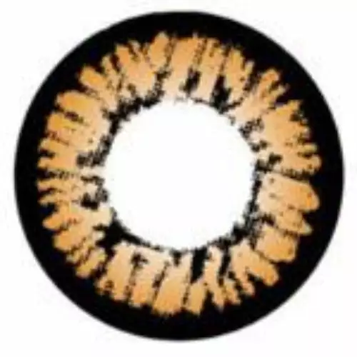 I-Codi Naty IC2 10 Marron 3 I-Codi Naty IC2 10 Marron – Image 3