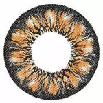 I-Codi Eclipse IC3 30 Marron