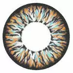 I-Codi Eclipse IC3 31 Marron