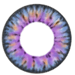 I-Codi Eclipse IC4-09 Pure Age Bleu