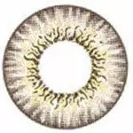 I.Fairy Miss Fluffy Marron