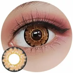 I-Codi Naty IC3 06 Papillon Marron