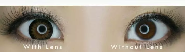 Kazzue Classic Marron 2 Kazzue Classic Marron – Image 2