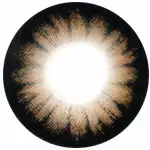 Kazzue Classic Marron