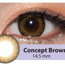 Kazzue Toric Concept Marron