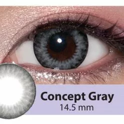 Kazzue Toric Concept Gris