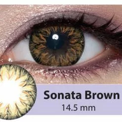 Kazzue Toric Sonata Marron