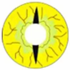 Cherie Libellule Folle -Promos Anime Boutique kr154 dragonfly