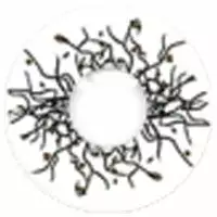 Cherie Sweety Crazy Vortex