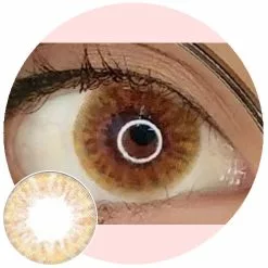 Yeux Occidentaux Western Eyes Mojito Marron