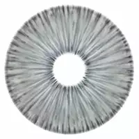 Couche Urbaine New York Grey - NOUVEAU