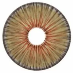 Couche Urbaine Urban Layer New York Hazel - NOUVEAU -Promos Anime Boutique new york hazel