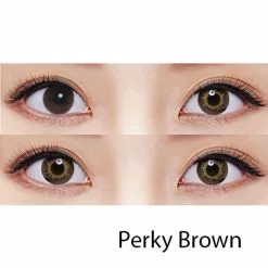 Fraîcheur Freshkon Color Fusion Série Mensuelle Dazzler - 2 Pièces -Promos Anime Boutique perky brown grid