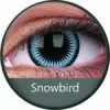 Fantasmagorique Snowbird Bleu Fou De Phantasee