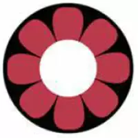 Cherie Sweety Fou Fleur Rose