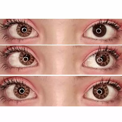 EOS Shana Brun 2 EOS Shana Brun – Image 2