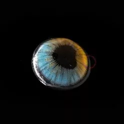 Cherie Sweety Anime Shining Heart Bleu Marron -Promos Anime Boutique shiningheartsblue scaled