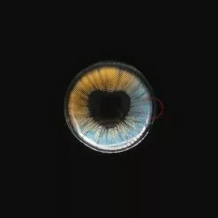 Cherie Sweety Anime Shining Heart Bleu Marron -Promos Anime Boutique shiningheartsblue02 scaled