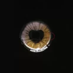 Cherie Sweety Anime Coeur Brillant Violet Marron -Promos Anime Boutique shiningheartspurple02 scaled