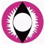 Cherie Sweety Crazy Dragon Rose