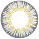 Yeux Occidentaux Western Eyes Gris Glacé