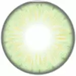 Couche Urbaine Émeraude D'Orlando