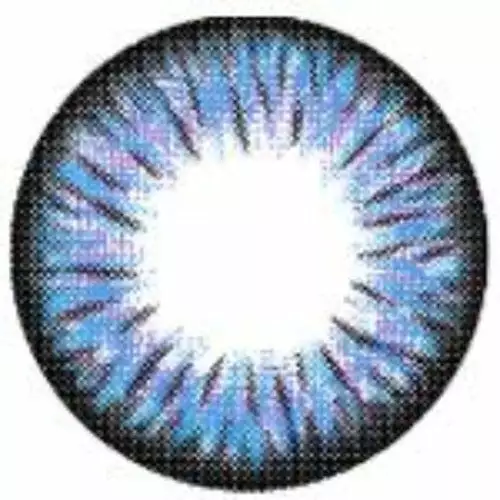 Kazzue Premier Bleu 3 Kazzue Premier Bleu – Image 3