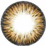 Kazzue Premier Marron