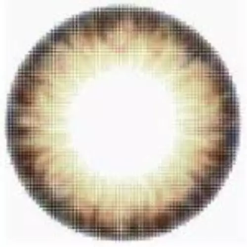 Kazzue Pro Marron Café 4 Kazzue Pro Marron Café – Image 4