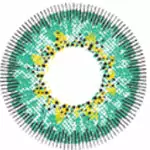 Elfe Des Neiges Kazzue