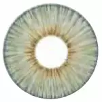 Couche Urbaine Angeles Grey