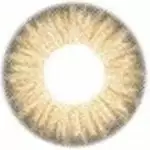 Couche Urbaine Boston Brown