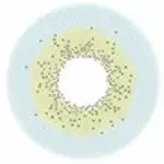 Couche Urbaine Urban Layer Celine Blue - Alias Batis Blue