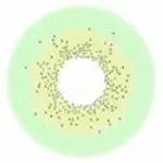 Couche Urbaine Urban Layer Celine Green - Alias Batis Green