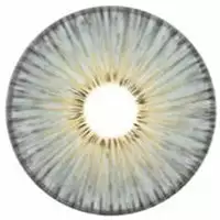 Couche Urbaine New York Grey